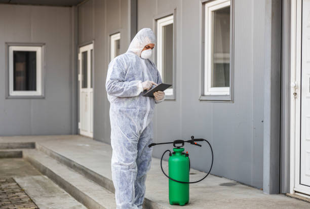 Inspection par un expert desinsectisation domicile