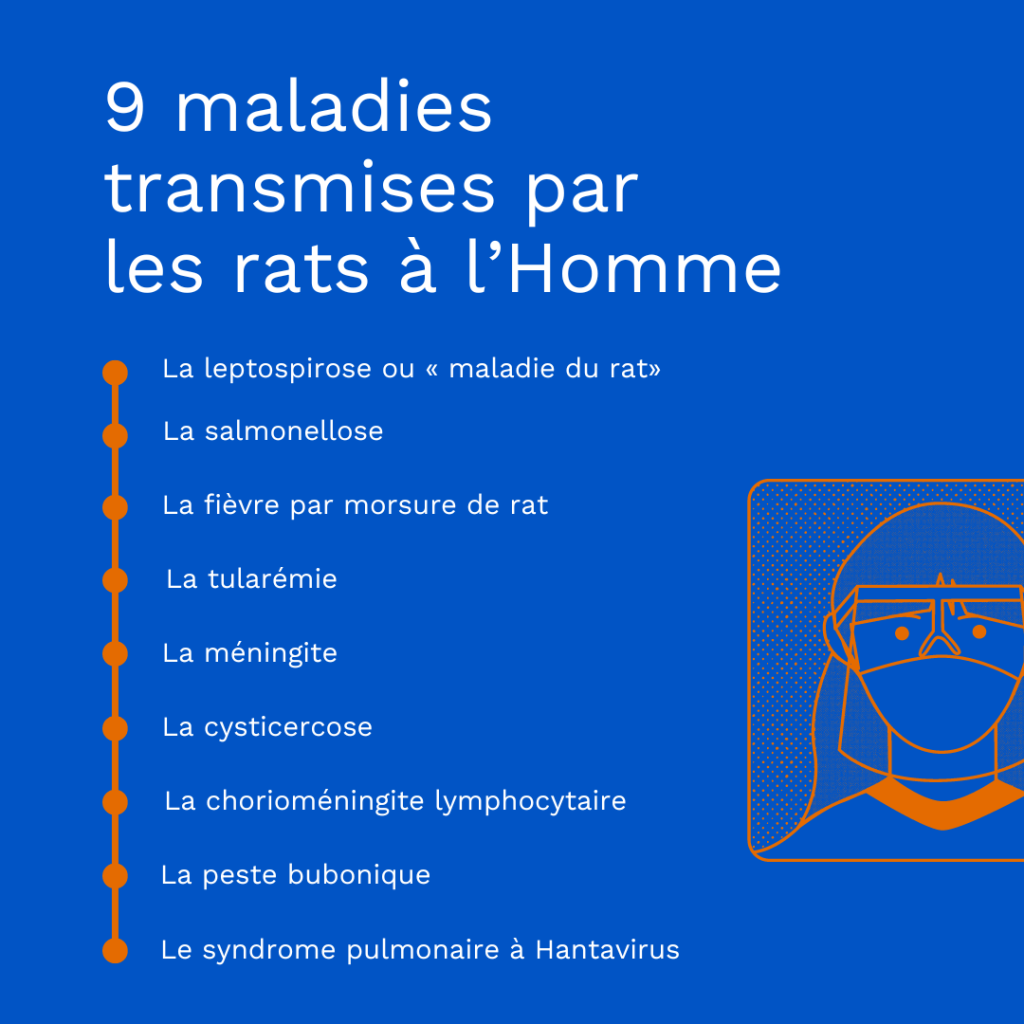 Infographie sur les maladies transmises par les insectes