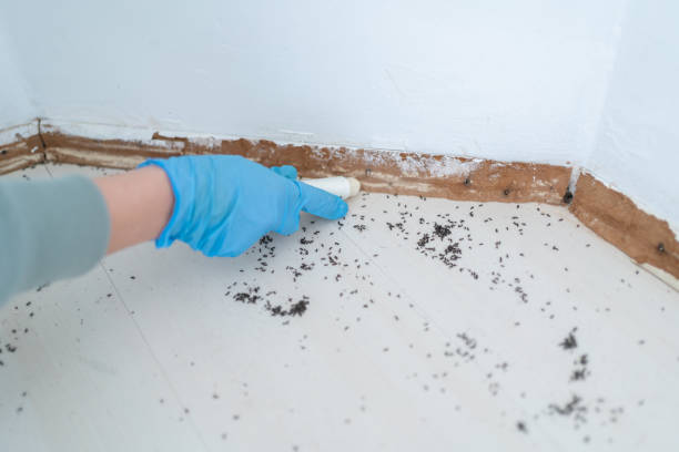 Prévention des infestations